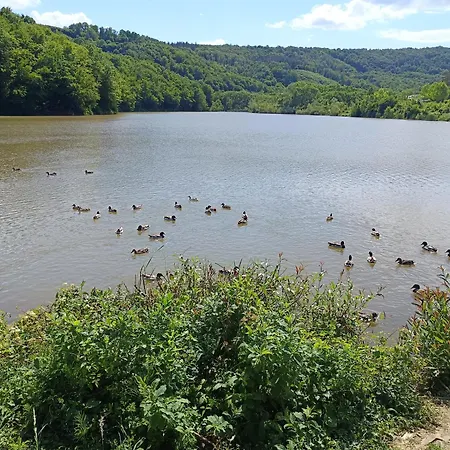 ваканционно студио 아파트 *