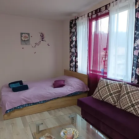 Apartman ваканционно студио *