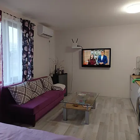 ваканционно студио Apartman Trjavna