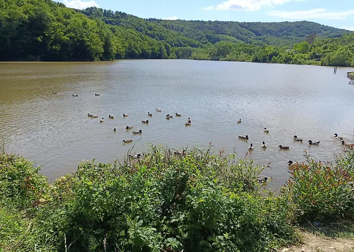 ваканционно студио Appartamento *