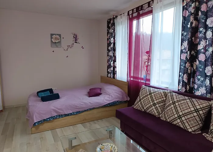 Appartamento ваканционно студио *